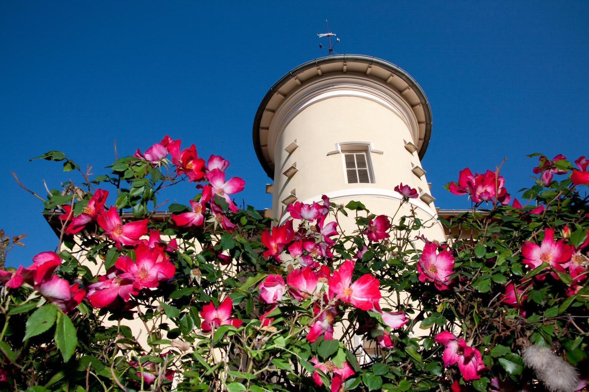 Chateau De Bellevue B&B Villié-Morgon 외부 사진