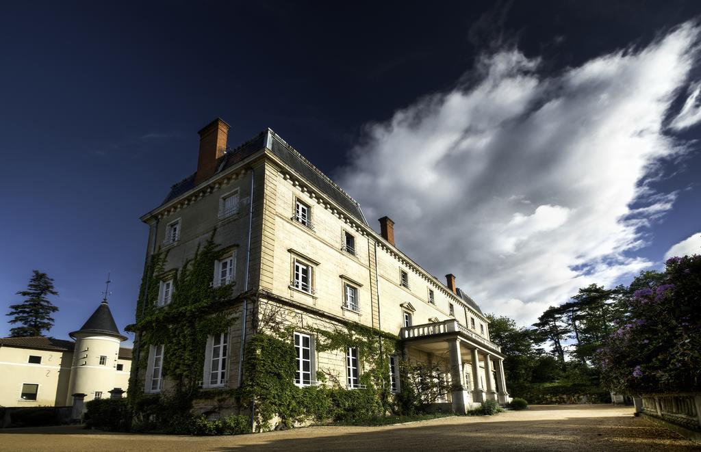 Chateau De Bellevue B&B Villié-Morgon 외부 사진
